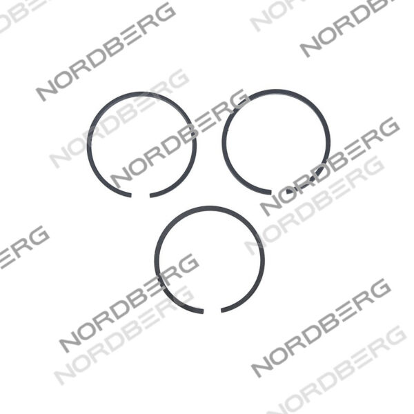 Комплект поршневых колец D55 для NCP100/360A 21145016